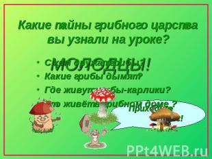 Какие тайны грибного царства вы узнали на уроке? С кем дружат грибы?Какие грибы