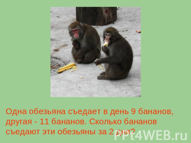 Одна обезьяна съедает в день 9 бананов, другая - 11 бананов. Сколько бананов съедают эти обезьяны за 2 дня?