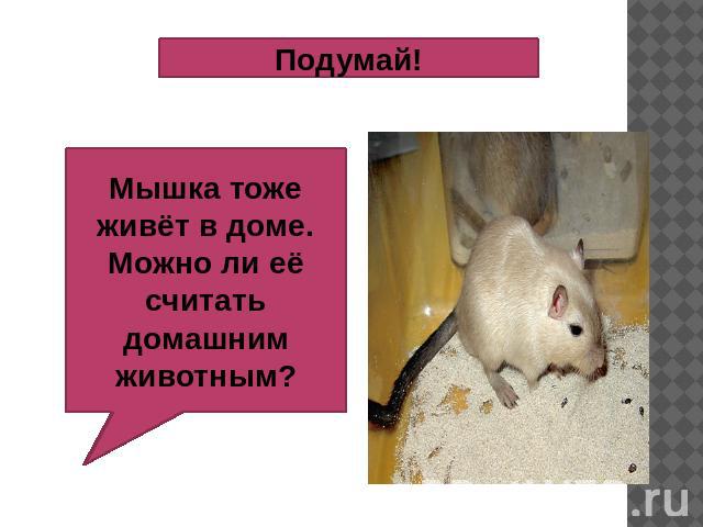 Подумай! Мышка тоже живёт в доме. Можно ли её считать домашним животным?