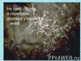 Не снег, не лёд, а серебром деревья уберёт. иней