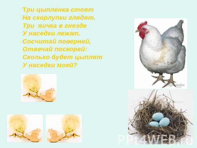 Три цыпленка стоят На скорлупки глядят.Три яичка в гнезде У наседки лежат.Сосчитай поверней,Отвечай поскорей: Сколько будет цыплят У наседки моей?