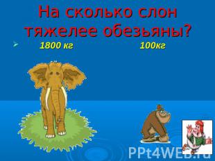 На сколько слон тяжелее обезьяны? 1800 кг 100кг