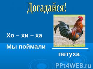 Догадайся! Хо – хи – хаМы поймали петуха