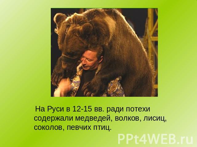 На Руси в 12-15 вв. ради потехи содержали медведей, волков, лисиц, соколов, певчих птиц.