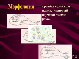 Морфология - раздел в русском языке, который изучает части речи.