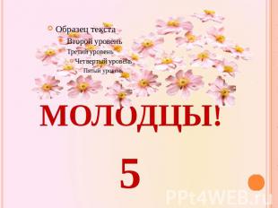 МОЛОДЦЫ! 5