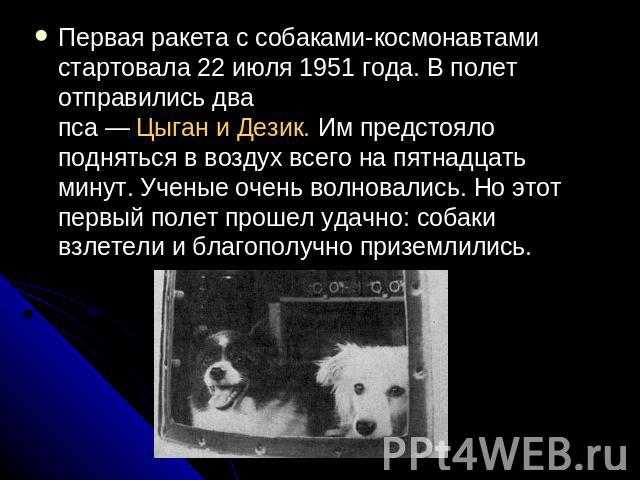 Первая ракета с собаками-космонавтами стартовала 22 июля 1951 года. В полет отправились два пса — Цыган и Дезик. Им предстояло подняться в воздух всего на пятнадцать минут. Ученые очень волновались. Но этот первый полет прошел удачно: собаки взлетел…