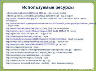 Используемые ресурсы http://carabin.ru/photo/domb2007/img_7233.jpg - фон первого
