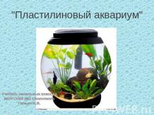 Пластилиновый аквариум