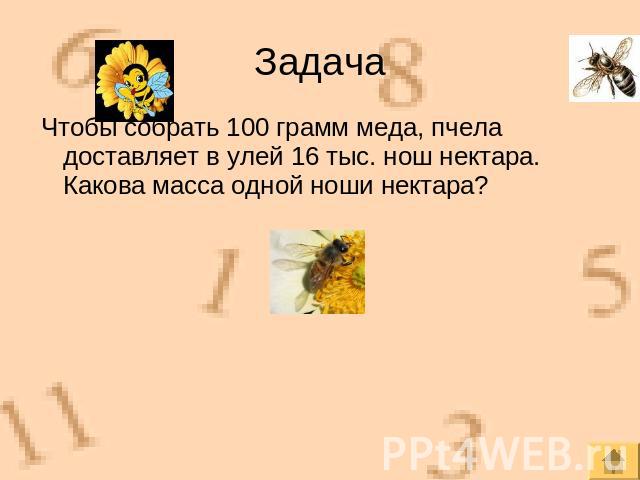 Чтобы собрать 100 грамм меда, пчела доставляет в улей 16 тыс. нош нектара. Какова масса одной ноши нектара?