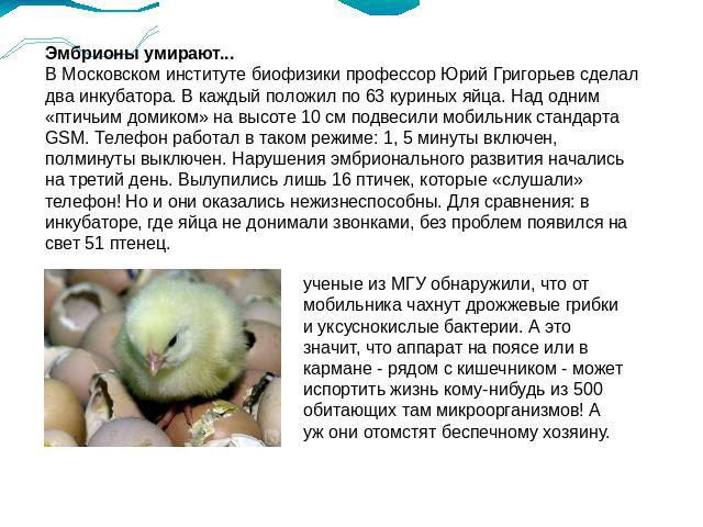 Эмбрионы умирают...В Московском институте биофизики профессор Юрий Григорьев сделал два инкубатора. В каждый положил по 63 куриных яйца. Над одним «птичьим домиком» на высоте 10 см подвесили мобильник стандарта GSM. Телефон работал в таком режиме: 1…