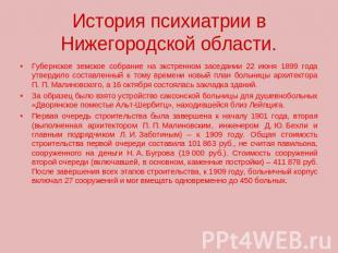 История психиатрии в Нижегородской области. Губернское земское собрание на экстр