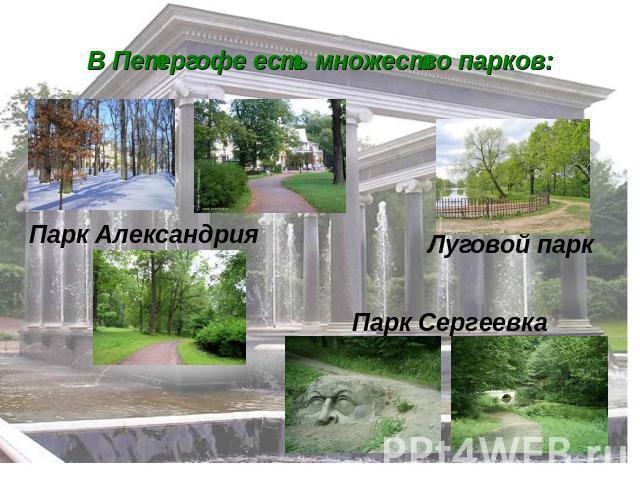 В Петергофе есть множество парков: Парк Александрия Луговой парк Парк Сергеевка
