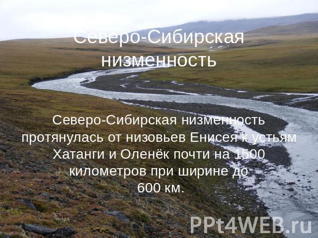 Северо-Сибирская низменность Северо-Сибирская низменность протянулась от низовьев Енисея к устьям Хатанги и Оленёк почти на 1500 километров при ширине до 600 км.