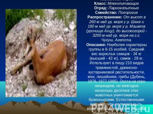 Кавказская сернаКласс: МлекопитающиеОтряд: ПарнокопытныеСемейство: ПолорогиеРасп