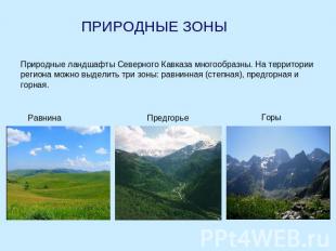 ПРИРОДНЫЕ ЗОНЫ Природные ландшафты Северного Кавказа многообразны. На территории