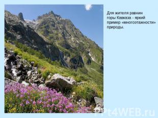 Для жителя равнин горы Кавказа - яркий пример «многоэтажности» природы.
