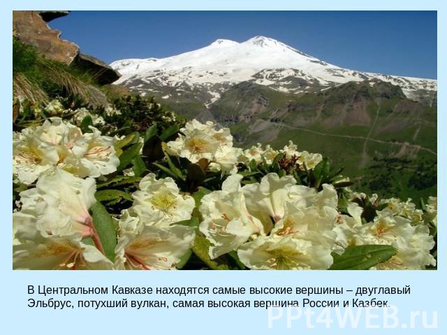 В Центральном Кавказе находятся самые высокие вершины – двуглавый Эльбрус, потухший вулкан, самая высокая вершина России и Казбек.