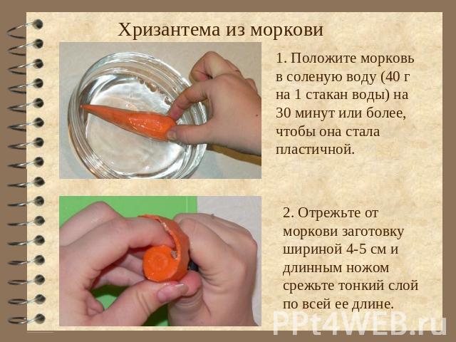 Хризантема из моркови 1. Положите морковь в соленую воду (40 г на 1 стакан воды) на 30 минут или более, чтобы она стала пластичной. 2. Отрежьте от моркови заготовку шириной 4-5 см и длинным ножом срежьте тонкий слой по всей ее длине.