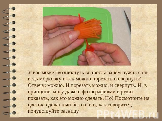 У вас может возникнуть вопрос: а зачем нужна соль, ведь морковку и так можно порезать и свернуть? Отвечу: можно. И порезать можно, и свернуть. И, в принципе, могу даже с фотографиями в руках показать, как это можно сделать. Но! Посмотрите на цветок,…