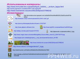 Использованные материалы: http://www.immunitet-km.ru/articles/lopuh_bolshoi_-_ar