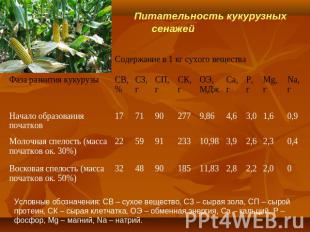 Питательность кукурузных сенажей Условные обозначения: СВ – сухое вещество, СЗ –