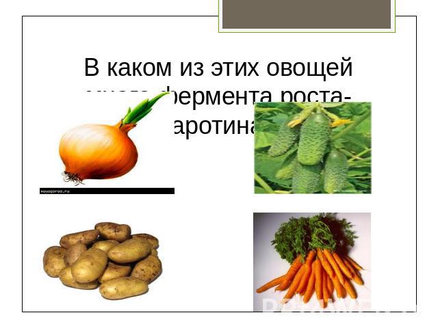 В каком из этих овощей много фермента роста- каротина?