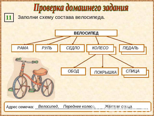 Проверка домашнего задания Заполни схему состава велосипеда. ВЕЛОСИПЕД Адрес семечка: _____________________________________________________