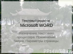 Текстовый редактор Microsoft WORD Назначение текстового процессора. Применение.