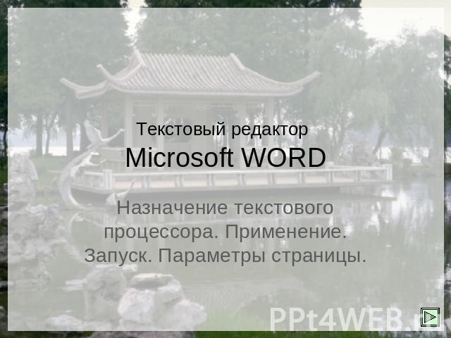Текстовый редактор Microsoft WORD Назначение текстового процессора. Применение. Запуск. Параметры страницы.