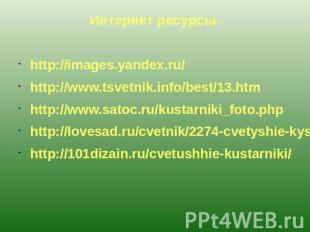 Интернет ресурсы. http://images.yandex.ru/ http://www.tsvetnik.info/best/13.htm