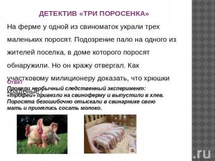 ДЕТЕКТИВ «ТРИ ПОРОСЕНКА» На ферме у одной из свиноматок украли трех маленьких по