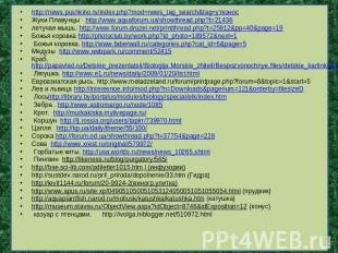 http://news.pushkino.tv/index.php?mod=news_tag_search&tag=утконос Жуки Плавунцы