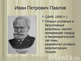 Иван Петрович Павлов (1849- 1936 гг.) Открыл условные и безусловные рефлексы, из