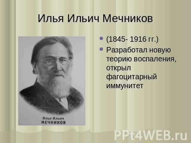 Илья Ильич Мечников (1845- 1916 гг.) Разработал новую теорию воспаления, открыл фагоцитарный иммунитет