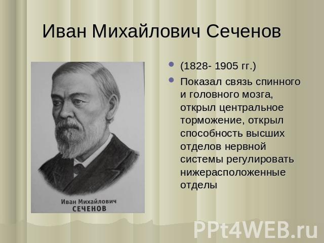 Иван Михайлович Сеченов (1828- 1905 гг.) Показал связь спинного и головного мозга, открыл центральное торможение, открыл способность высших отделов нервной системы регулировать нижерасположенные отделы