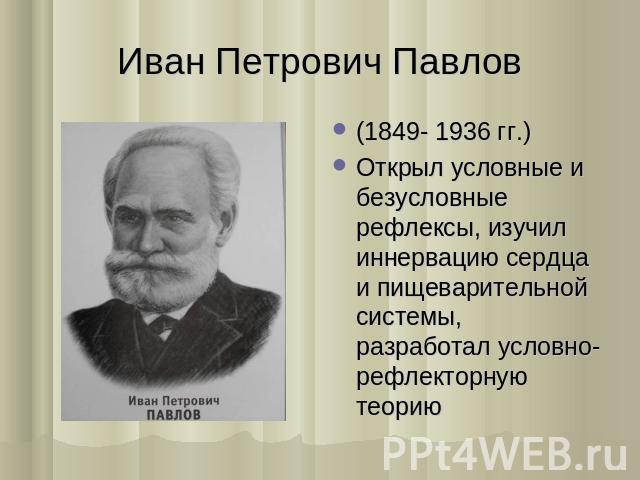 Иван Петрович Павлов (1849- 1936 гг.) Открыл условные и безусловные рефлексы, изучил иннервацию сердца и пищеварительной системы, разработал условно-рефлекторную теорию
