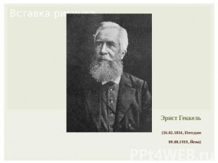 Эрнст Геккель (16.02.1834, Потсдам 09.08.1919, Йена)