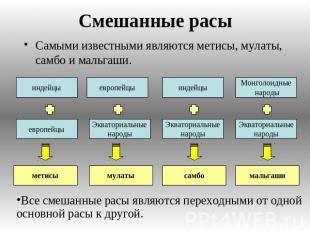 Смешанные расы Самыми известными являются метисы, мулаты, самбо и мальгаши. Все