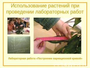 Использование растений при проведении лабораторных работ Лабораторная работа «По