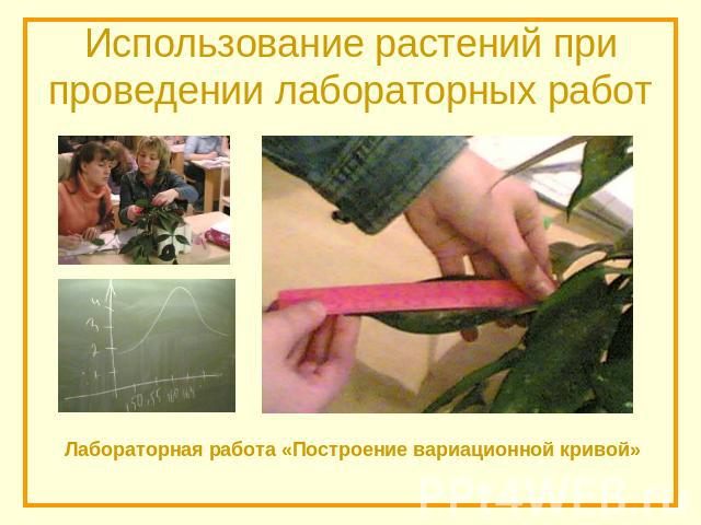 Использование растений при проведении лабораторных работ Лабораторная работа «Построение вариационной кривой»