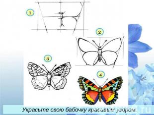 Украсьте свою бабочку красивым узором.