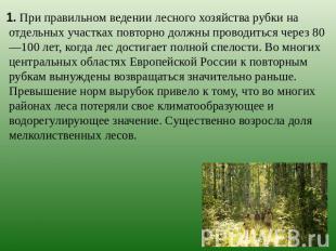 1. При правильном ведении лесного хозяйства рубки на отдельных участках повторно