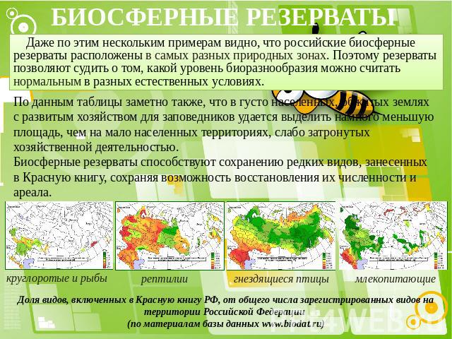 БИОСФЕРНЫЕ РЕЗЕРВАТЫ Даже по этим нескольким примерам видно, что российские биосферные резерваты расположены в самых разных природных зонах. Поэтому резерваты позволяют судить о том, какой уровень биоразнообразия можно считать нормальным в разных ес…