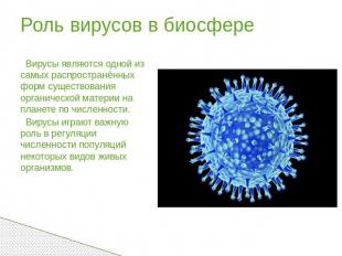 Роль вирусов в биосфере Вирусы являются одной из самых распространённых форм сущ