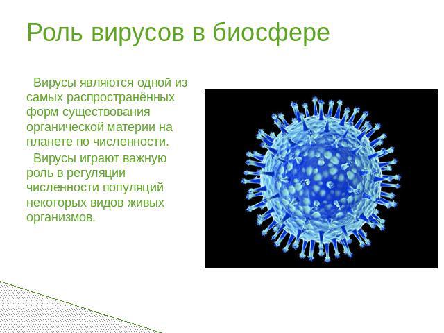 Роль вирусов в биосфере Вирусы являются одной из самых распространённых форм существования органической материи на планете по численности. Вирусы играют важную роль в регуляции численности популяций некоторых видов живых организмов.