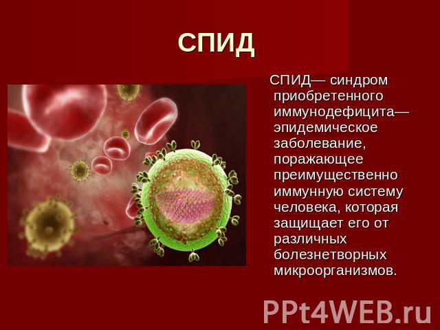 СПИД СПИД— синдром приобретенного иммунодефицита— эпидемическое заболевание, поражающее преимущественно иммунную систему человека, которая защищает его от различных болезнетворных микроорганизмов.