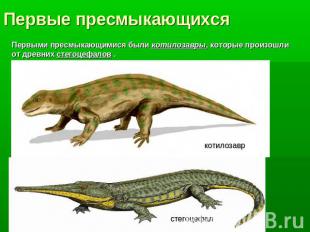 Первые пресмыкающихсяПервыми пресмыкающимися были котилозавры, которые произошли