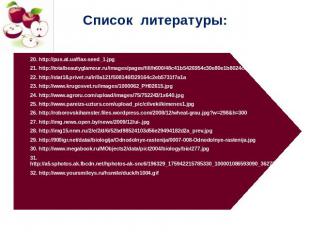 Список литературы: 20. http://pus.at.ua/flax-seed_1.jpg21. http://totalbeautygla