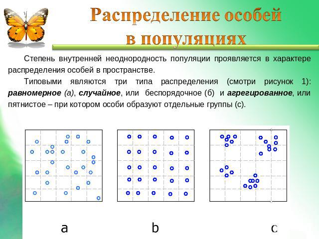 Распределение особей в популяциях Степень внутренней неоднородность популяции проявляется в характере распределения особей в пространстве. Типовыми являются три типа распределения (смотри рисунок 1): равномерное (а), случайное, или беспорядочное (б)…